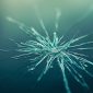 Artistic close-up of a small star-shaped chip on a car windshield, with light refracting through the damaged glass, hinting at a blurred Houston street scene. Photo ideal for affordable auto glass repair or Houston windshield replacement services by Uni Auto Glass.
